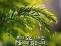 공기총사격/사냥/동호회:..