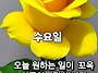 공기총사격/사냥/동호회:..