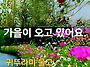 공기총사격/사냥/동호회:..