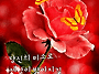 공기총사격/사냥/동호회:..