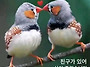 공기총사격/사냥/동호회:..