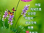 공기총사격/사냥/동호회:..