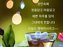공기총사격/사냥/동호회:..