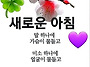 공기총사격/사냥/동호회:..