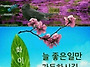 공기총사격/사냥/동호회:..