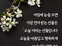공기총사격/사냥/동호회:..