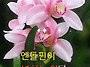 공기총사격/사냥/동호회:..