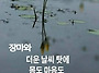공기총사격/사냥/동호회:..