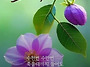 공기총사격/사냥/동호회:..