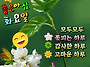공기총사격/사냥/동호회:..