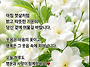 공기총사격/사냥/동호회:..