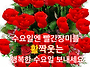공기총사격/사냥/동호회:..
