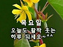 공기총사격/사냥/동호회:..