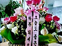 공기총사격/사냥/동호회:..