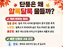 오늘의 생활 팁 - 단풍은 ..