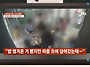 나가 뒤졌으면 좋겠다(보배..