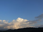 [입하] 무성, 풍성, 더위..