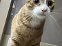 22학번 김지아