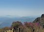 백대종주