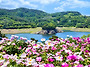 출렁다리 건너면 딴 세상이..