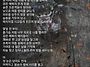 여름부고