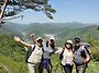 봉화산철쭉