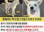 강아지를찾습니다