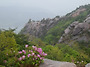 황매산