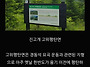 오대산,노인봉 소금강계곡..