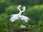 2026.10.15-목요일-출석부