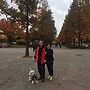 일산 호수공원에서~(11...