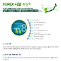 FX마진거래 -초보자를..