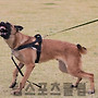 2014.10.26 팀스포츠..