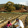 백출과 삽겹살