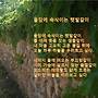 돌담에 속삭이는 햇발..