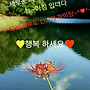 행복한하루