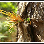 진짜 주의 해야 할 사항