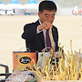 2015 내고향사랑대축제..
