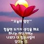 나를 향한 당신의 보혈..