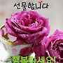7월9일 목요일 출석부