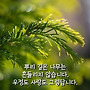 5월6일 화요일 출석부