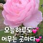 5월23일 일요일 출석부