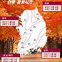 올해 단풍 예상 및 절..