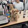 헤어몬님 인스타