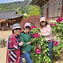 문경 김룡사, 돌리네습..