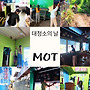 MOT 카페에서 보내 온..