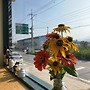 [Ediable garden..
