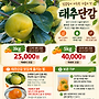 [동락점빵 이동장터 ..