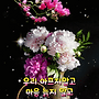 할머니와 할아버지가