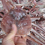 대게 (竹게) Snow ..
